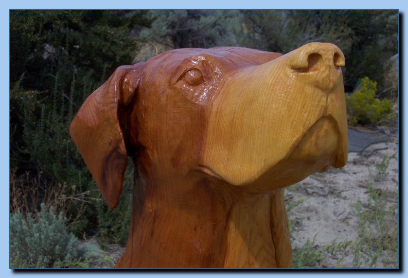 2-56 dog-rottweiler-archive-0013